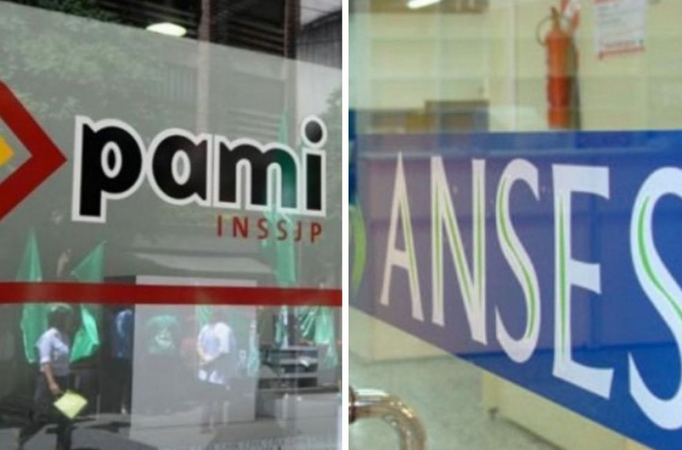 anses y pami