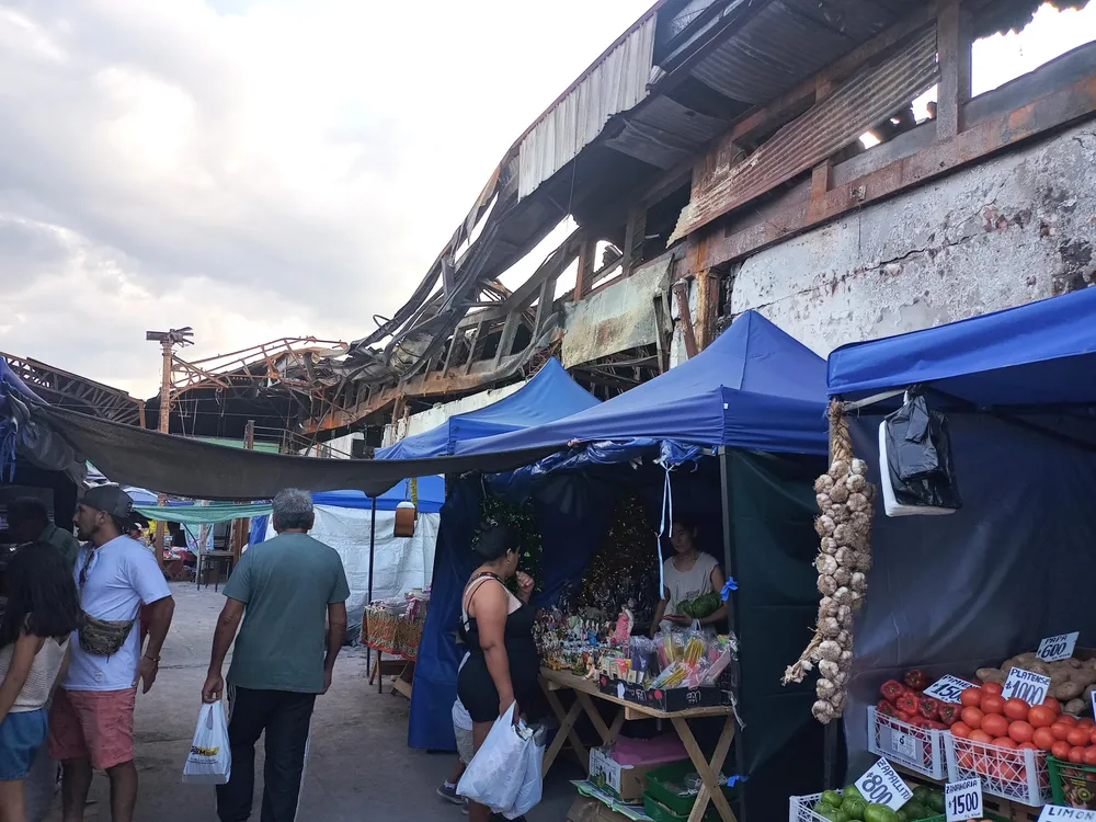 carpas del mercado san miguel